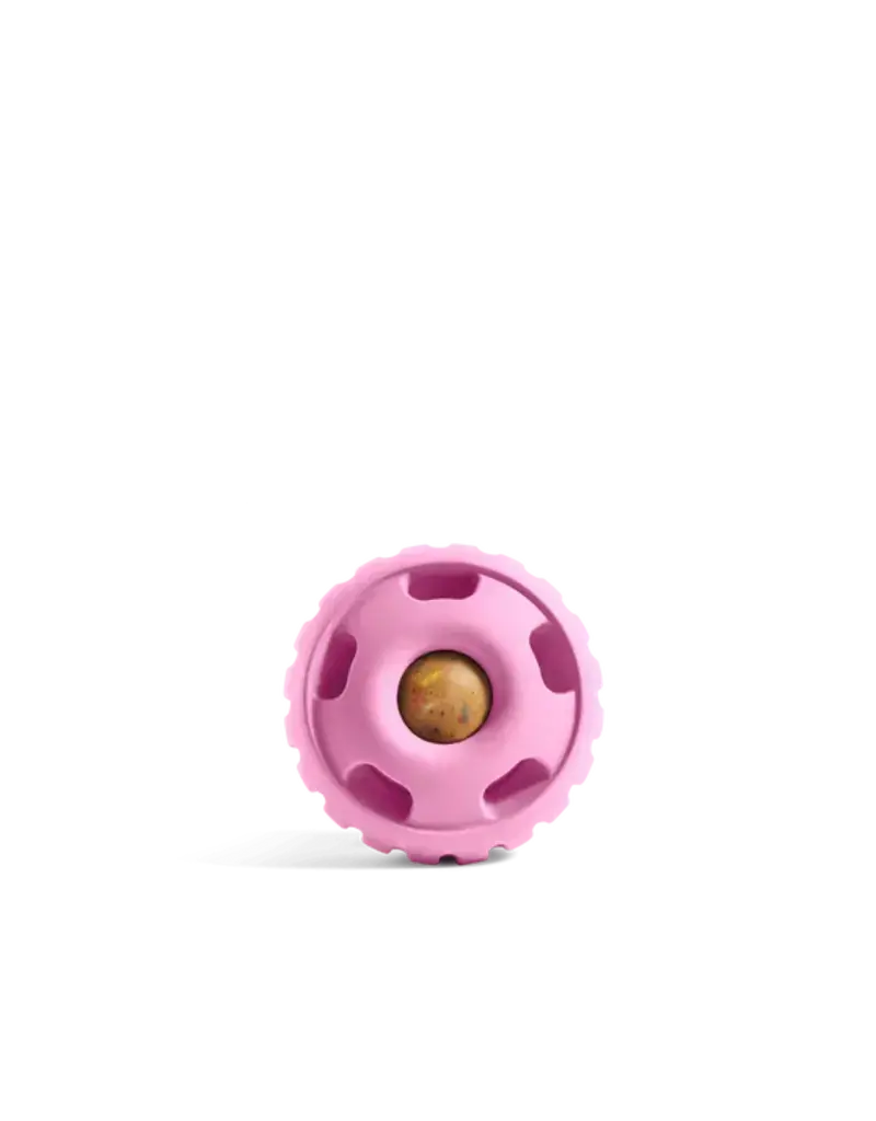 Woof Pet Woof Pet Birthday