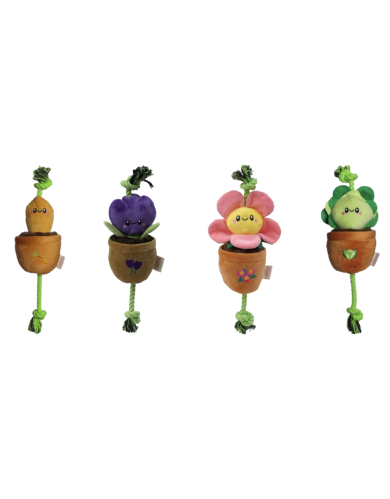 Original Territory Territory Pet Tug