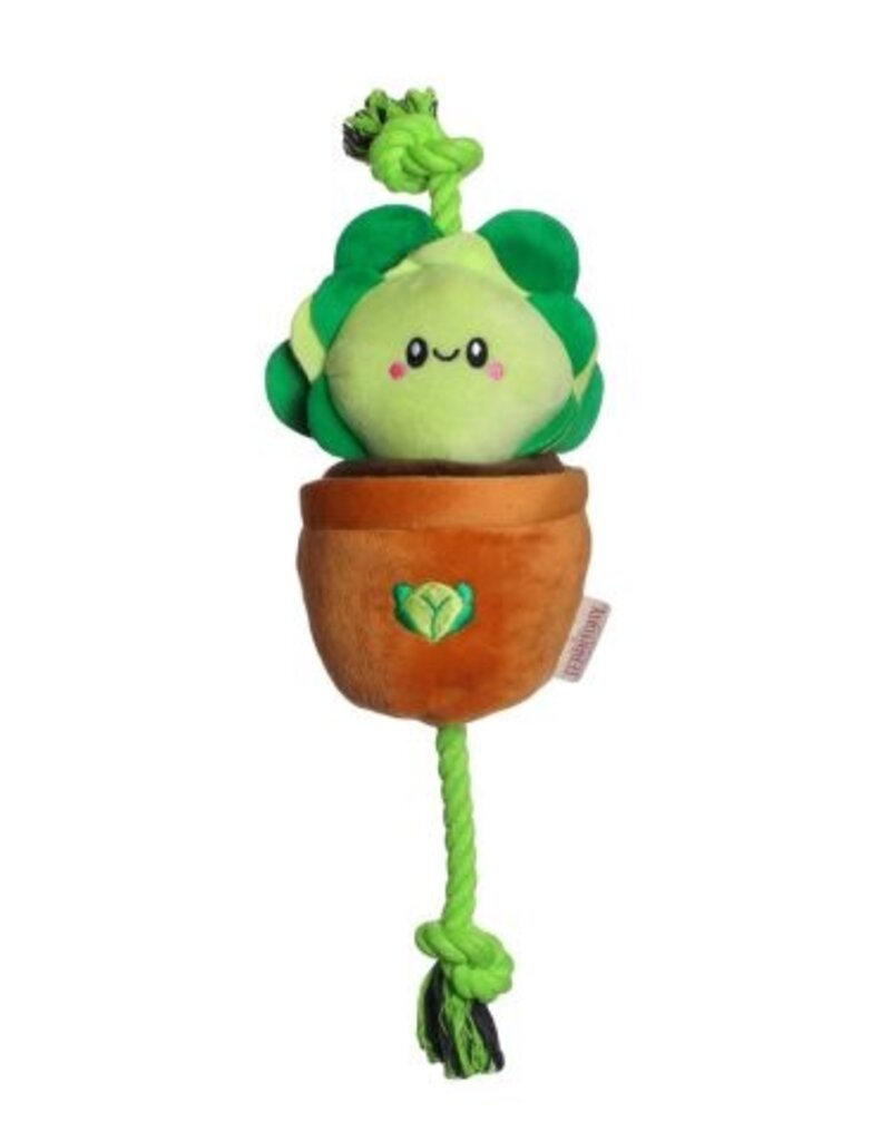 Original Territory Territory Pet Tug