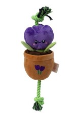 Original Territory Territory Pet Tug