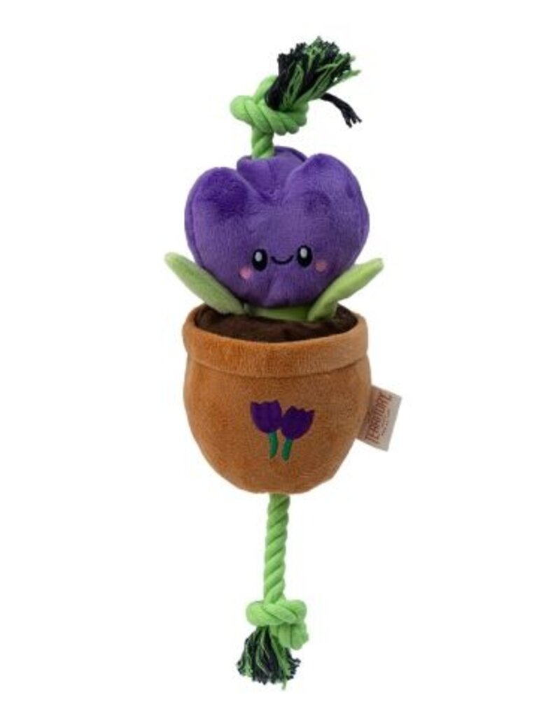 Original Territory Territory Pet Tug