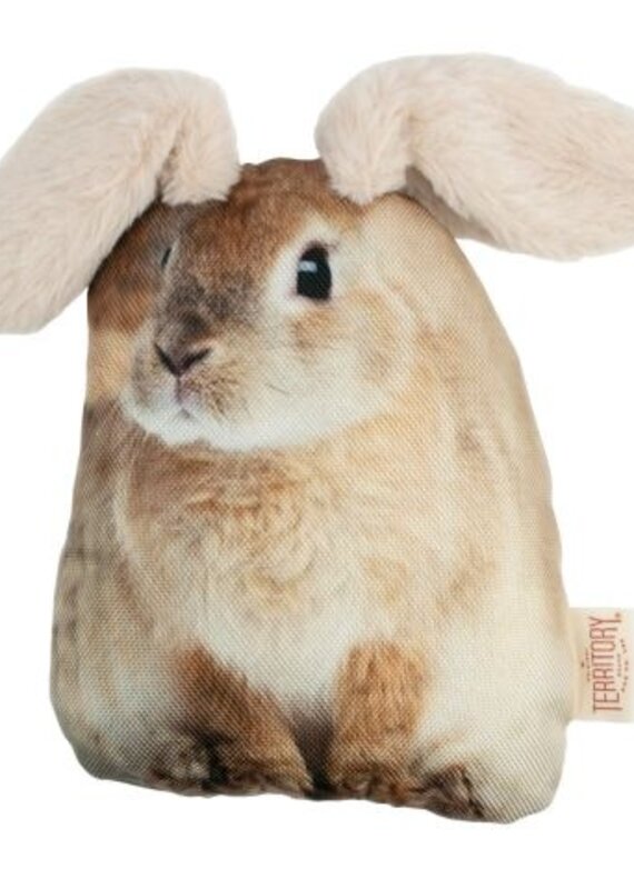 Original Territory Territory Pet Flopper