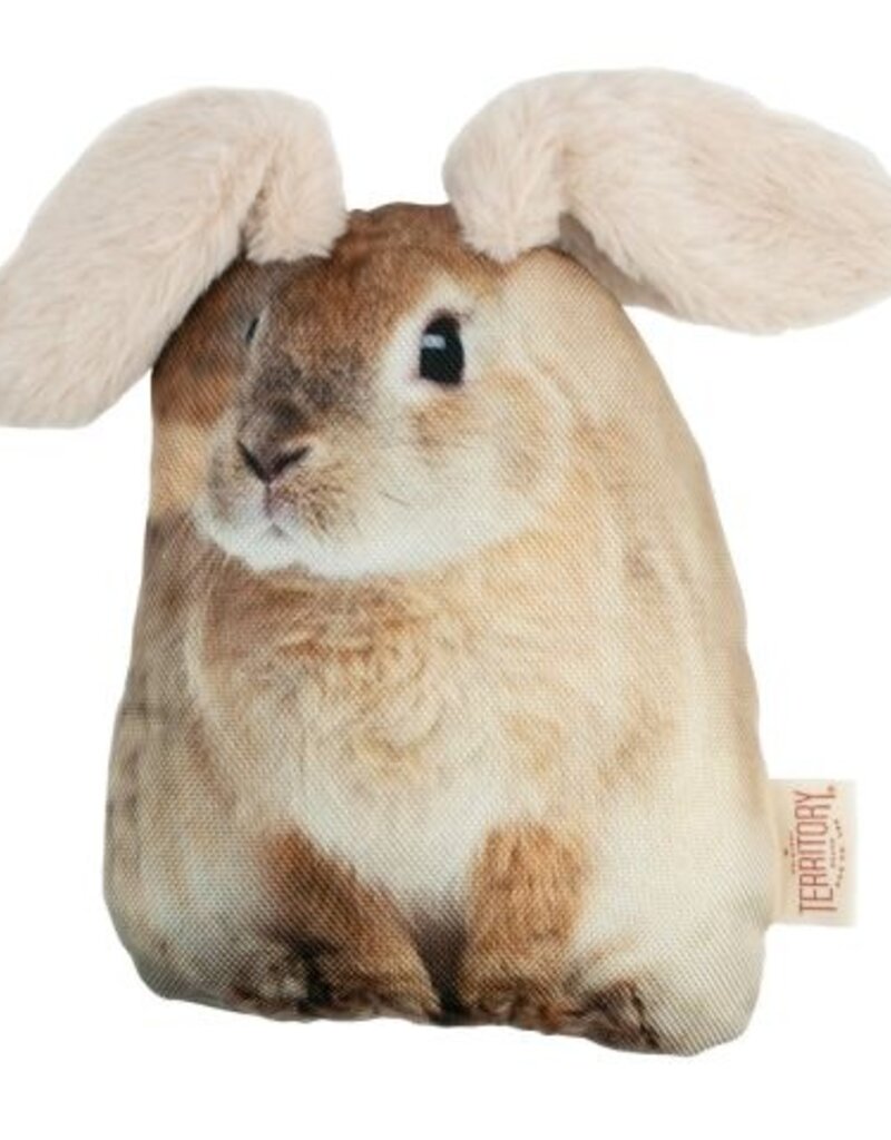 Original Territory Territory Pet Flopper