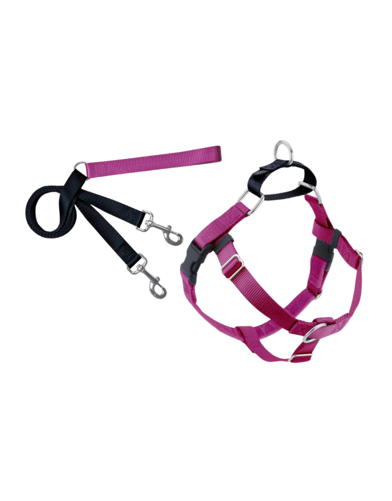 2 Hound Design 2 Hounds Design Freedom Harness & Training Leash Raspberry