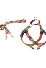2 Hound Design 2 Hounds Design Freedom Harness & Training Leash BFF
