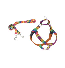 2 Hound Design 2 Hounds Design Freedom Harness & Training Leash BFF