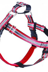 2 Hound Design 2 Hounds Design Freedom Harness & Training Leash Reflective