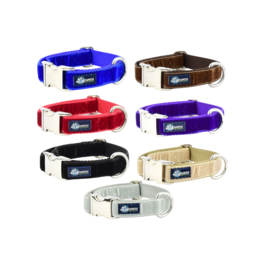 2 Hound Design 2 Hounds Keystone Combo Collar
