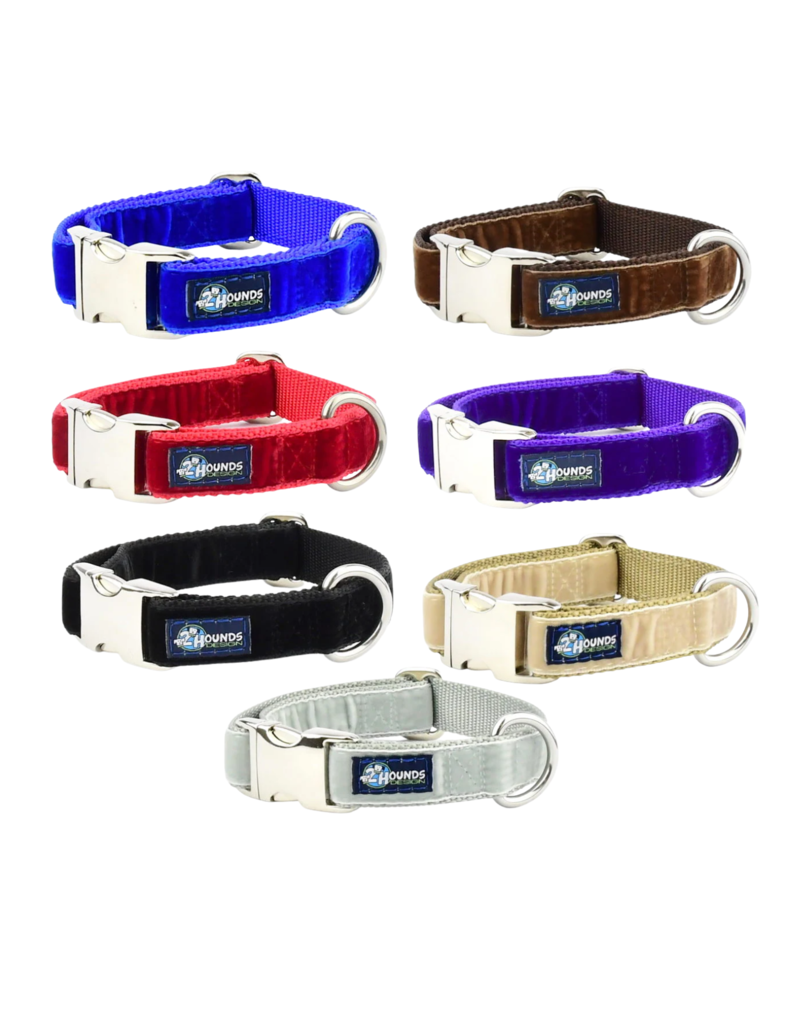 2 Hound Design 2 Hounds Keystone Combo Collar