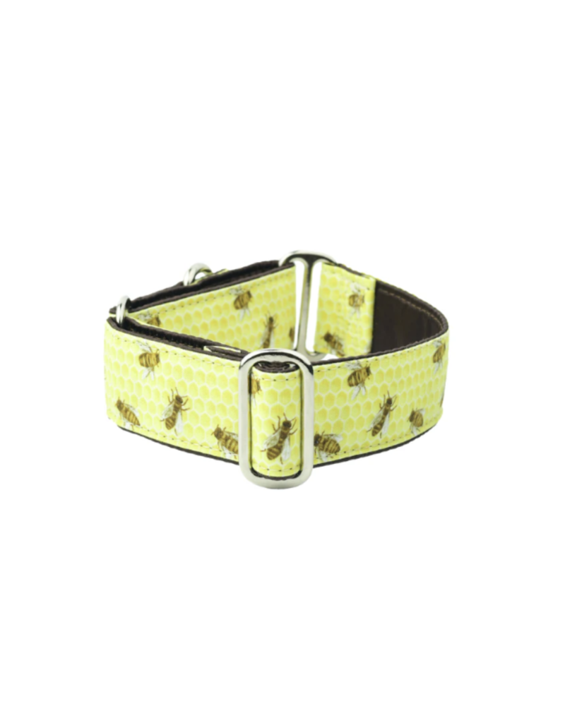 2 Hound Design 2 Hounds Martingale Collar 1"