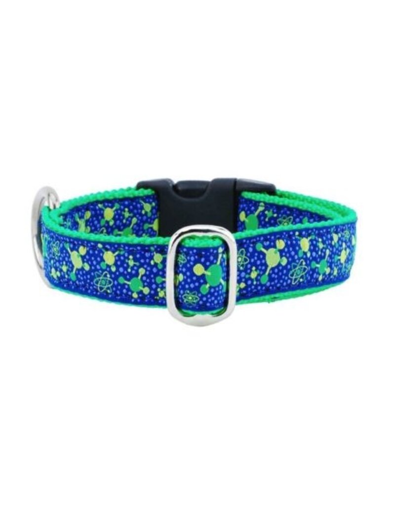 2 Hound Design 2 Hounds Martingale Collar 1"