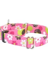 2 Hound Design 2 Hounds Martingale Collar 1"