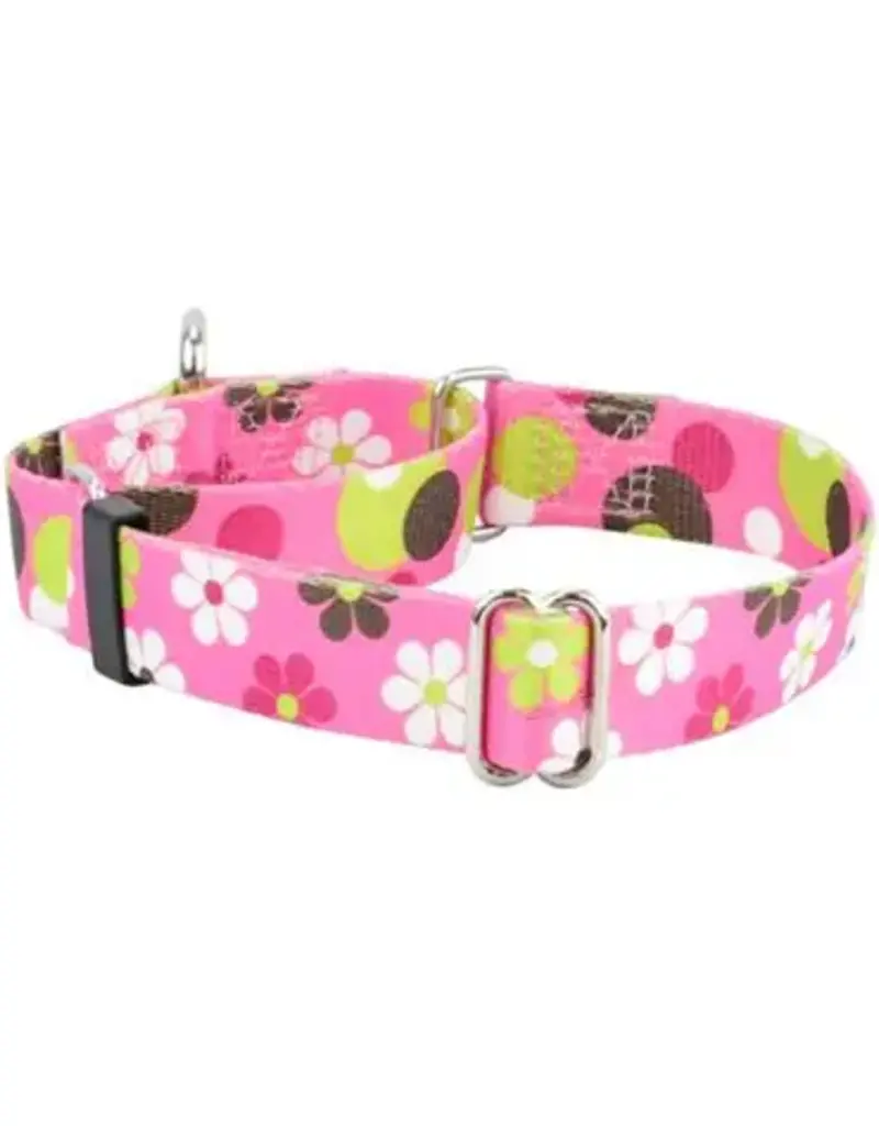 2 Hound Design 2 Hounds Martingale Collar 1"