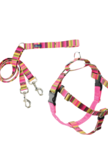 2 Hound Design 2 Hounds Design Freedom Harness & Training Leash Bonnie