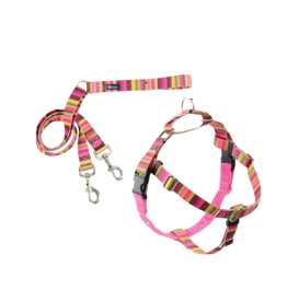 2 Hound Design 2 Hounds Design Freedom Harness & Training Leash Bonnie