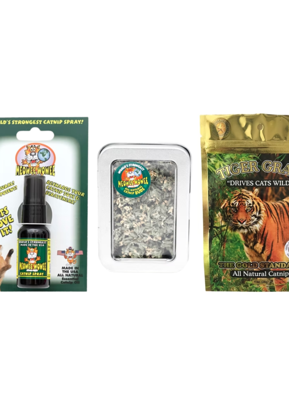 Chris the Cat Chris the Cat Catnip