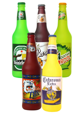 Tuffy Silly Squeaker Beer Bottle