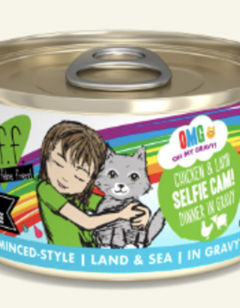 Weruva Weruva Cat BFF OMG Gravy