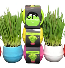 Mom's Indoor Cat Mom's Indoor Cat  Grass Garden