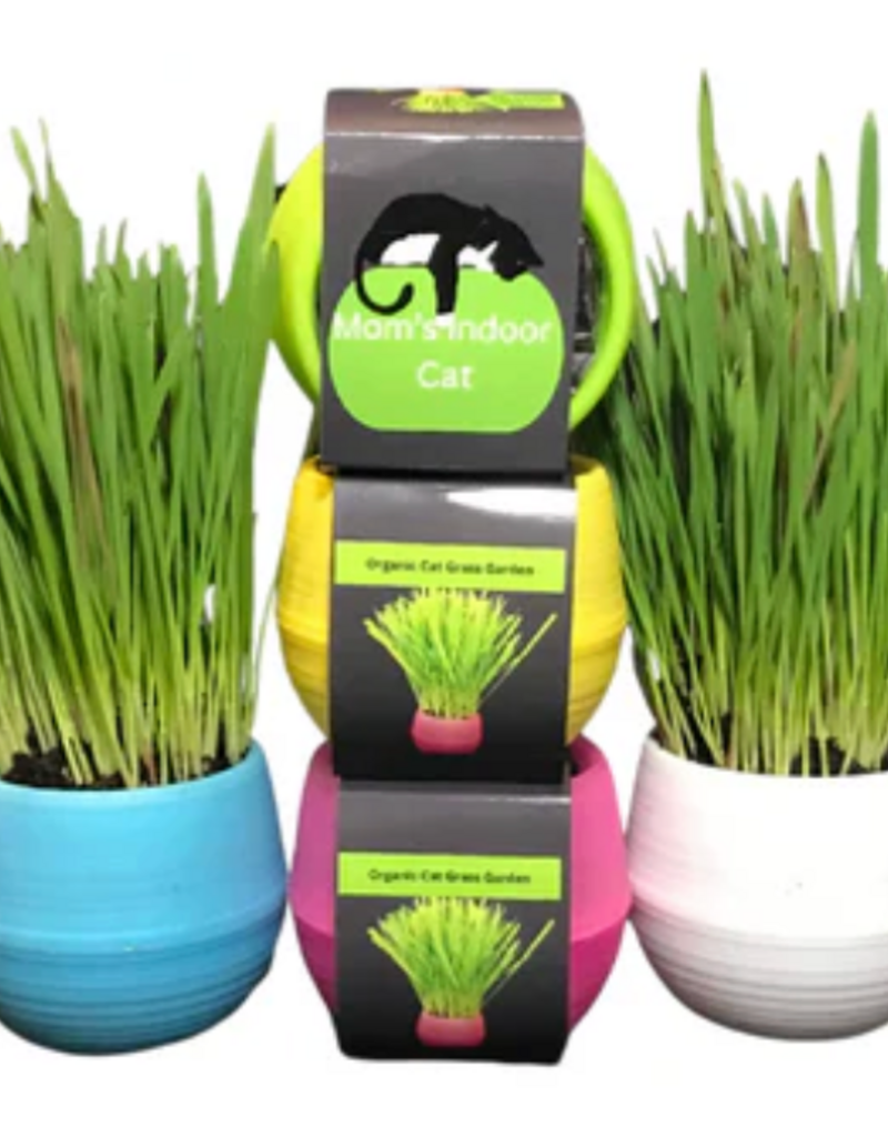 Mom's Indoor Cat Mom's Indoor Cat  Grass Garden