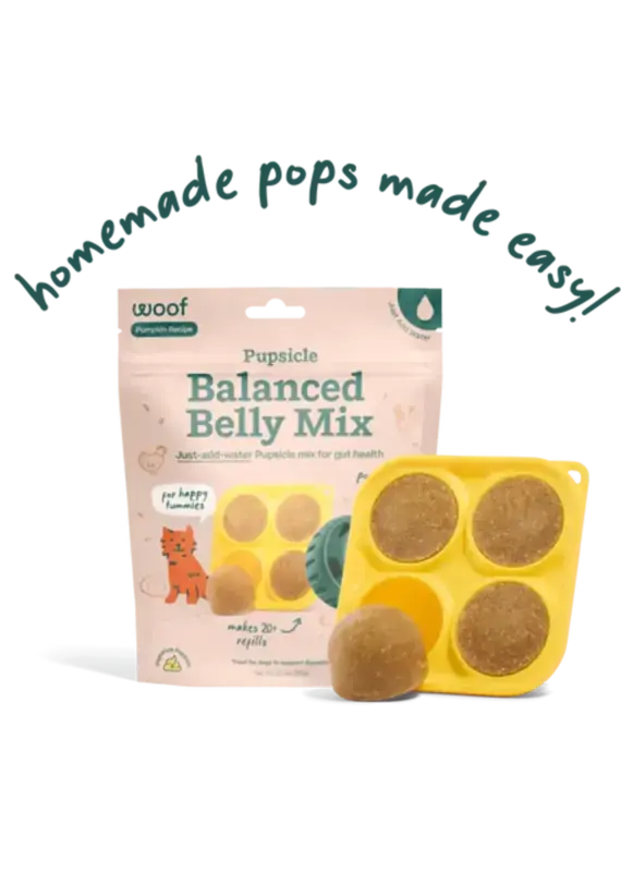 Woof Pet Woof Pet Pupsicle Treat Mix Balanced Belly