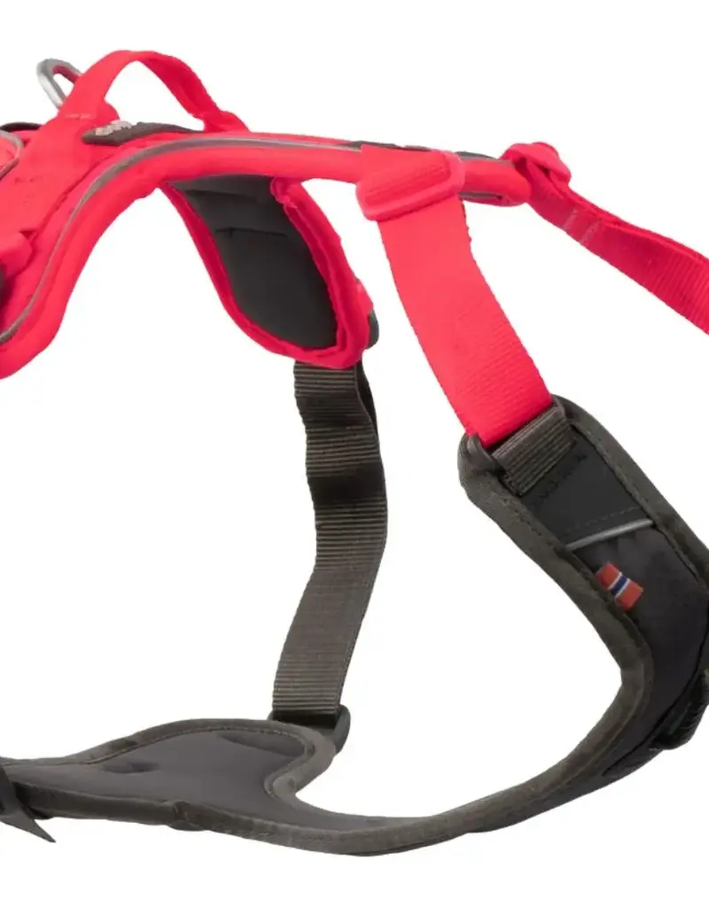Non-Stop Non-Stop Ramble Harness