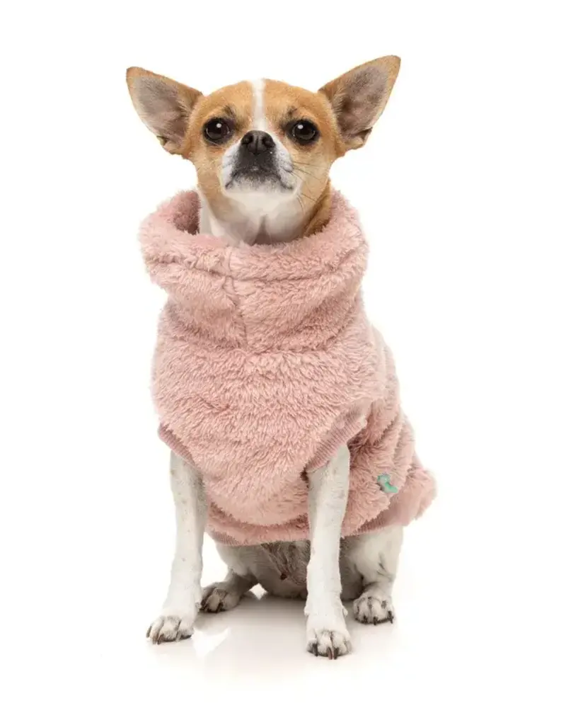FuzzYard FuzzYard Turtle Teddy Sweater