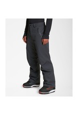 The North Face The North Face Seymore Pant