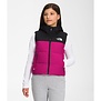 The North Face Reversible North Down GJr Hooded Vest