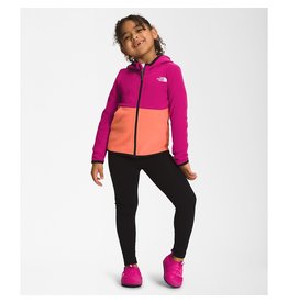 The North Face The North Face Glacier Full Zip Toddler Hoodie