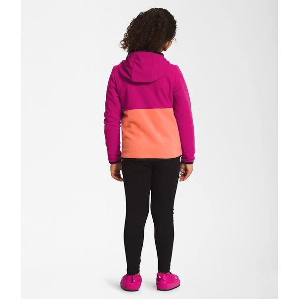 The North Face The North Face Glacier Full Zip Toddler Hoodie