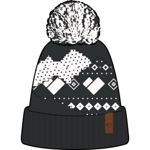 Obermeyer Telluride Pom Beanie