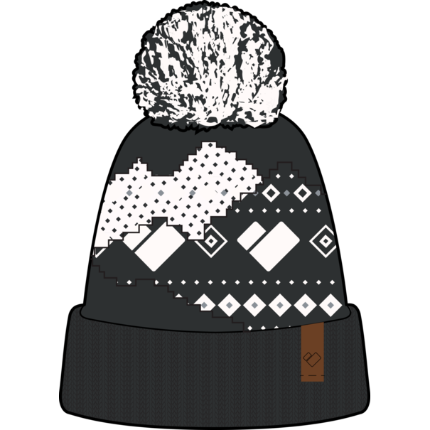 Obermeyer Obermeyer Telluride Pom Beanie