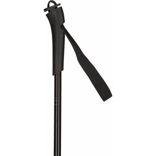 Rossignol FT-500 Poles