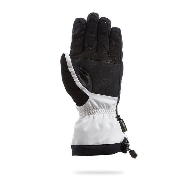 Spyder Spyder OVERWEB GTX SKI GLOVE