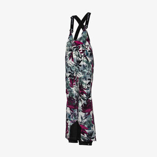 ARCTIX BIG SKY W BIB