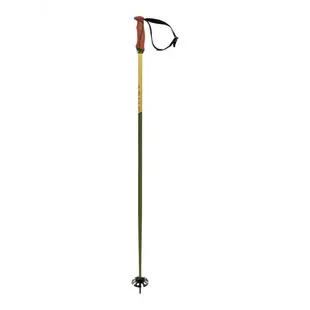 Volkl Phantastick Poles