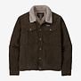 Patagonia Pile Lined Trucker Jkt (5242)