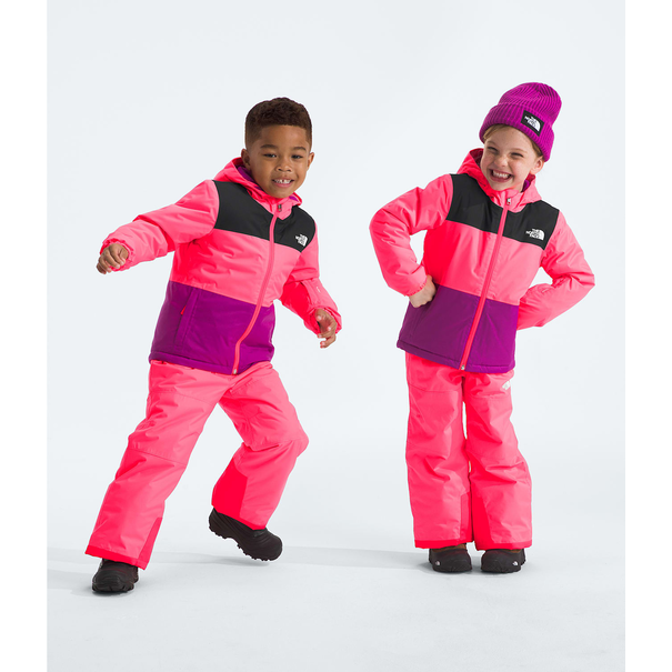 The North Face The North Face Freedom Insulated GJr Toddler Jacket (5242)