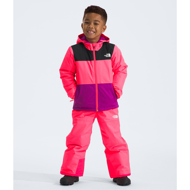 The North Face The North Face Freedom Insulated GJr Toddler Jacket (5242)