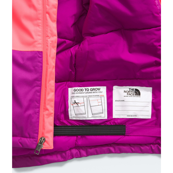 The North Face The North Face Freedom Insulated GJr Toddler Jacket (5242)