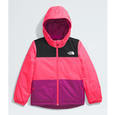 The North Face Freedom Insulated GJr Toddler Jacket (5242)