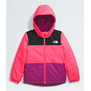 The North Face Freedom Insulated GJr Toddler Jacket (5242)