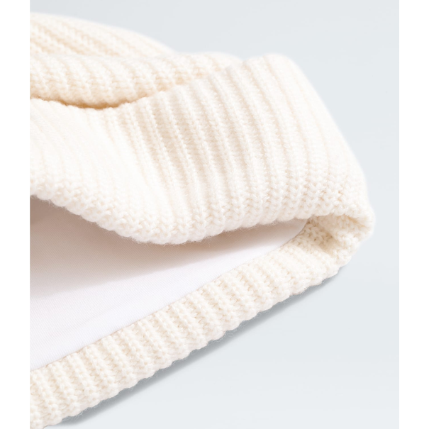 The North Face The North Face Salty Lined Beanie (5242)