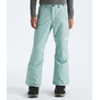 The North Face Freedom Insulated GJr Pant (5242)