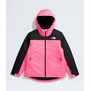 The North Face Freedom Insulated GJr Jacket (5242)