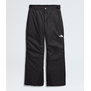 The North Face Freedom BJr Insulated Pant (6252)
