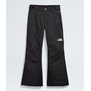 The North Face Freedom GJr Insulated Pant (6252)