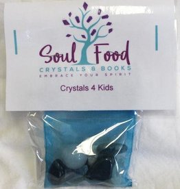 Crystals 4 Kids Crystal Kit