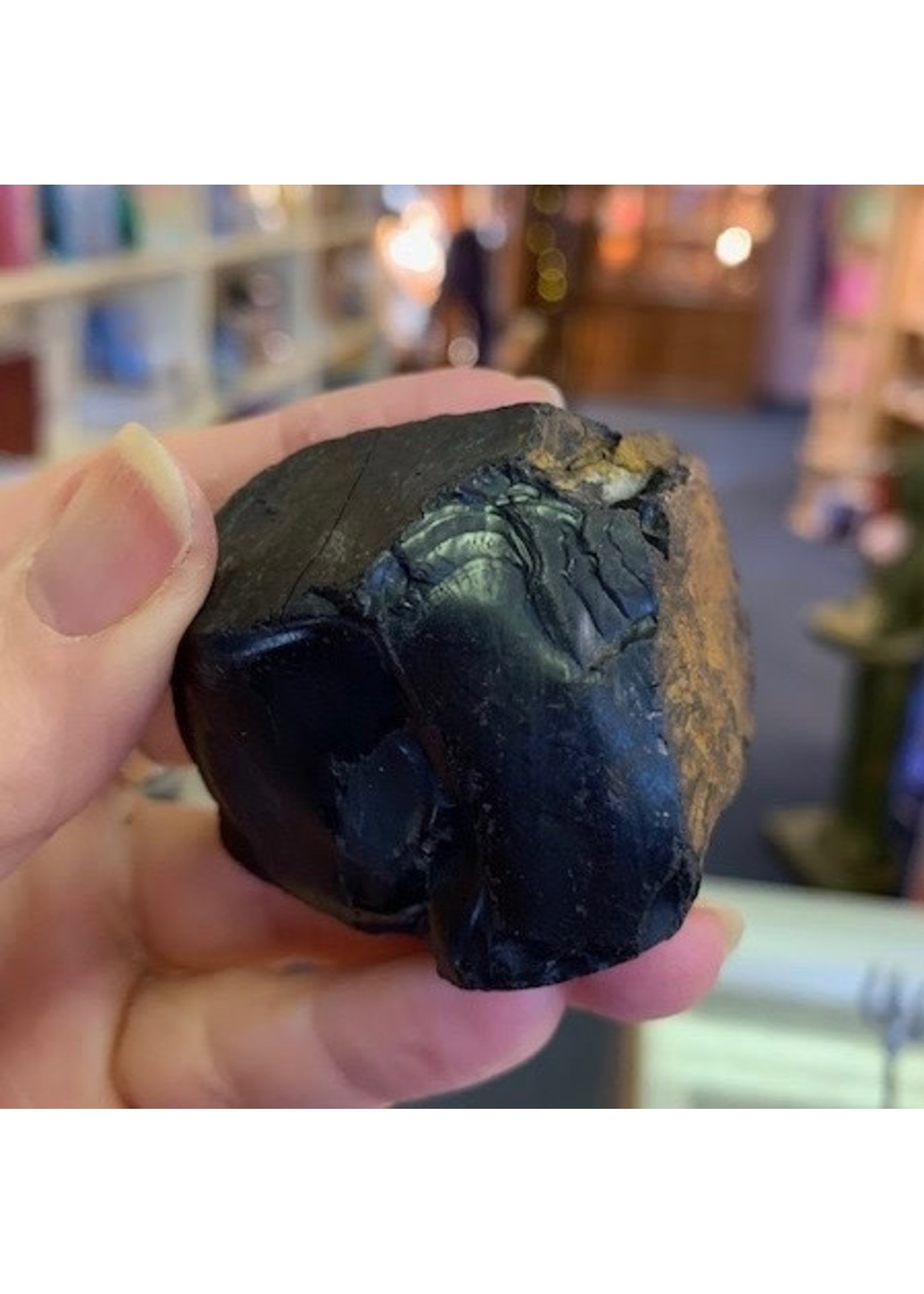 Jet Rough ~ Whiteby England